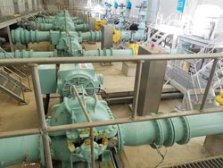 1_L_1574923090